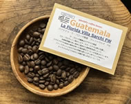 産地買付■グアテマラ・ラ・フロリダ農園 / villa sarchi / FW /  ミディアム〜ハイロースト